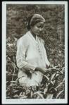 theepluksterdtd. Gadis pemetik teh, Malabar 1920anJPG